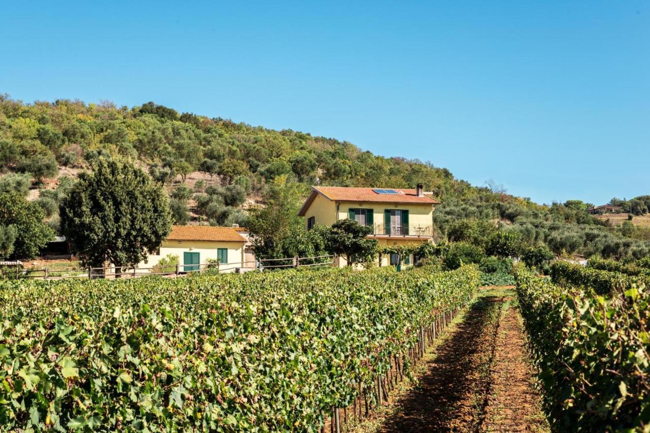 Poggiolivi Agriturismo Bio In Maremma Alberese Exterior foto